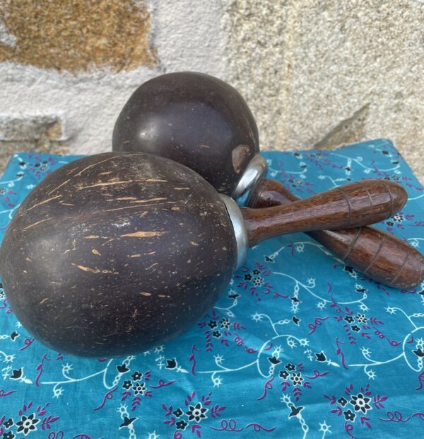 lot de maracas